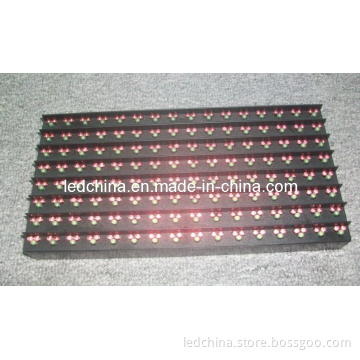 P16 Outdoor LED Module 2R1G
